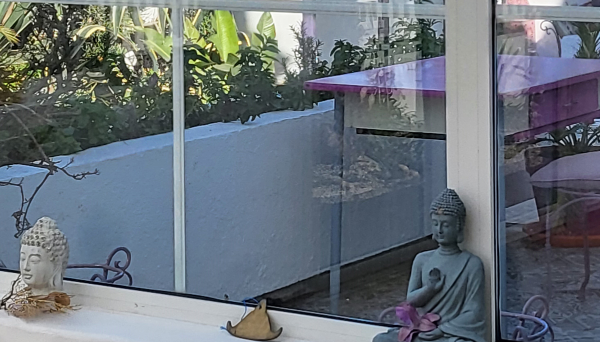 cabinet ANFAS, matinée de Yoga